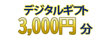 デジタルギフト3000円